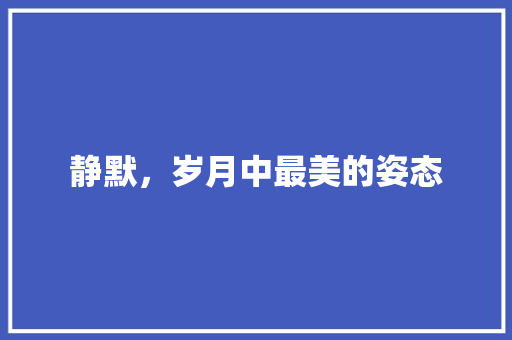 静默，岁月中最美的姿态