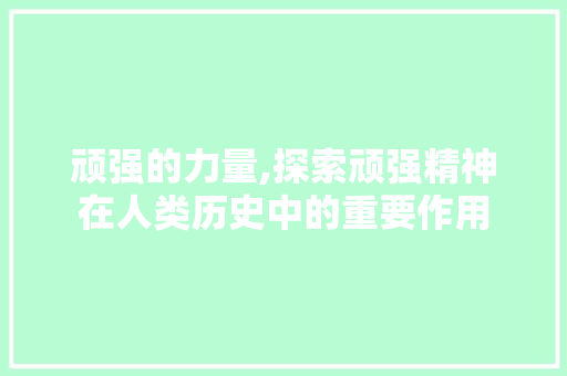 顽强的力量,探索顽强精神在人类历史中的重要作用