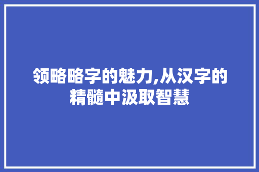 领略略字的魅力,从汉字的精髓中汲取智慧