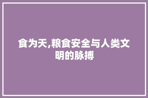 食为天,粮食安全与人类文明的脉搏