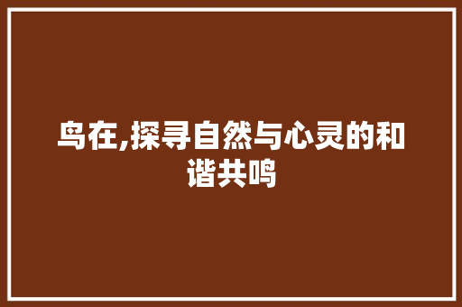 鸟在,探寻自然与心灵的和谐共鸣