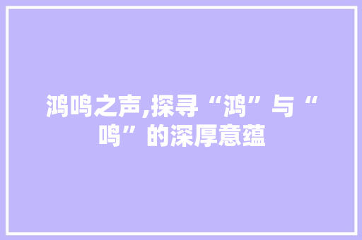 鸿鸣之声,探寻“鸿”与“鸣”的深厚意蕴
