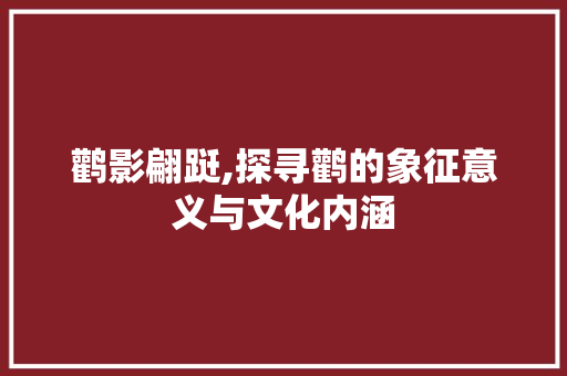鹳影翩跹,探寻鹳的象征意义与文化内涵 科技报告范文