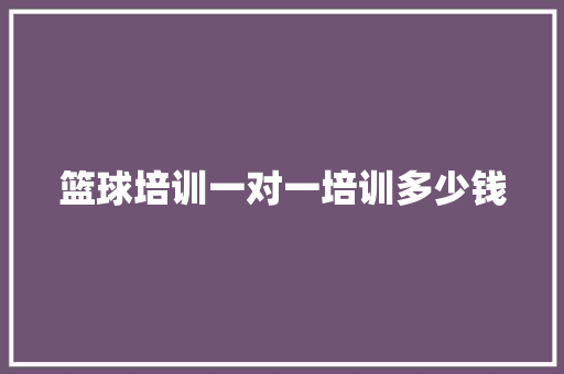篮球培训一对一培训多少钱