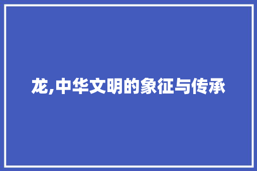 龙,中华文明的象征与传承