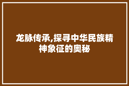 龙脉传承,探寻中华民族精神象征的奥秘