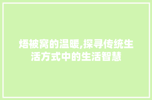 焐被窝的温暖,探寻传统生活方式中的生活智慧