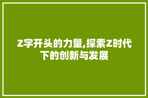 Z字开头的力量,探索Z时代下的创新与发展