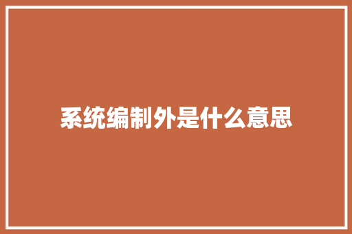 系统编制外是什么意思