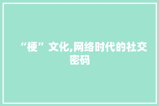 “梗”文化,网络时代的社交密码