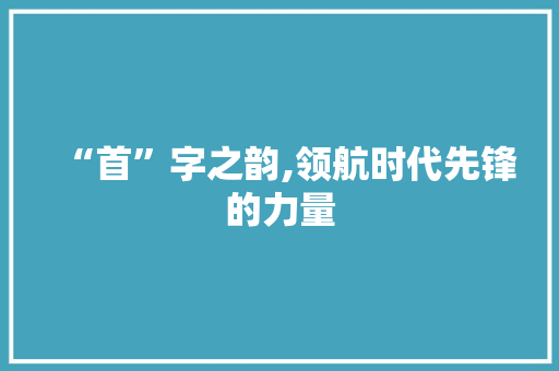 “首”字之韵,领航时代先锋的力量