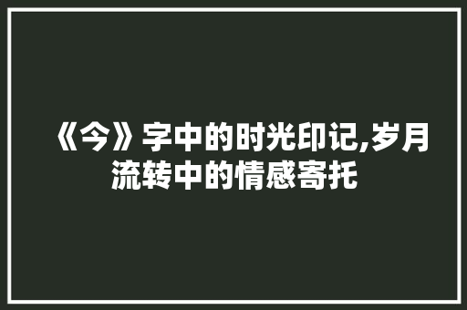 《今》字中的时光印记,岁月流转中的情感寄托