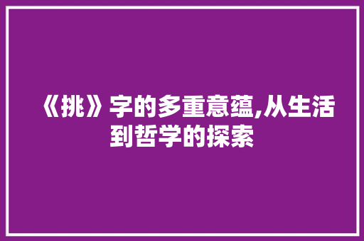 《挑》字的多重意蕴,从生活到哲学的探索