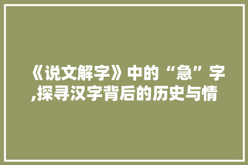 《说文解字》中的“急”字,探寻汉字背后的历史与情感