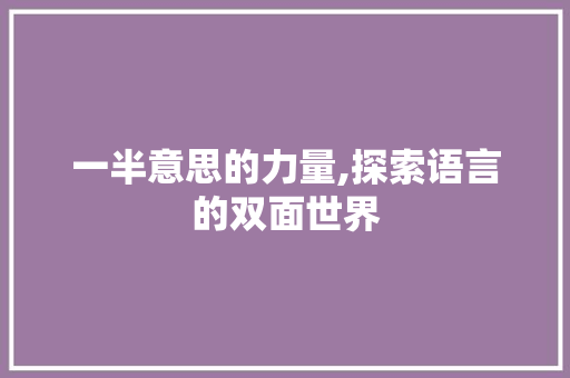 一半意思的力量,探索语言的双面世界