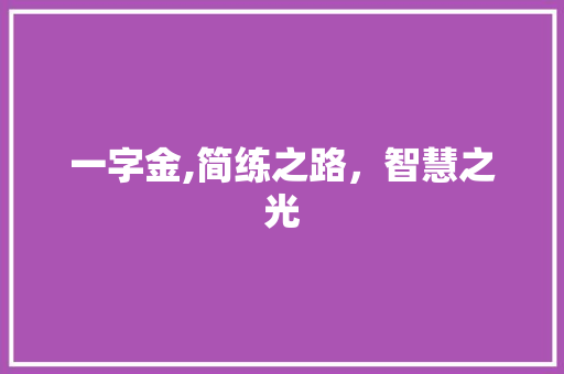 一字金,简练之路，智慧之光