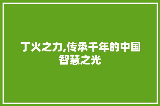 丁火之力,传承千年的中国智慧之光