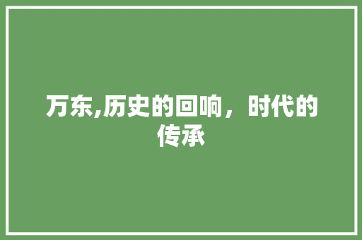 万东,历史的回响，时代的传承