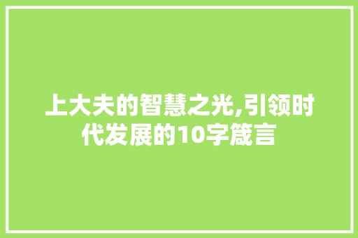 上大夫的智慧之光,引领时代发展的10字箴言
