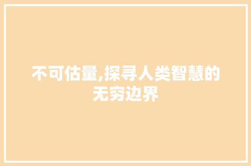 不可估量,探寻人类智慧的无穷边界