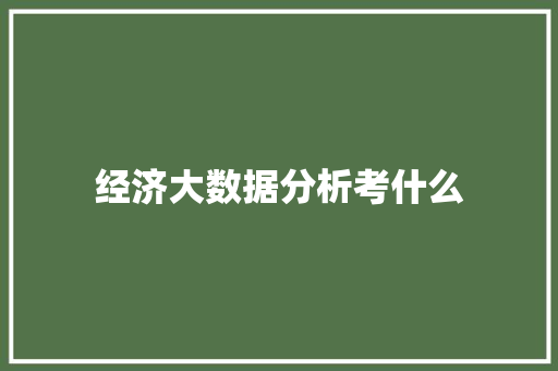 经济大数据分析考什么