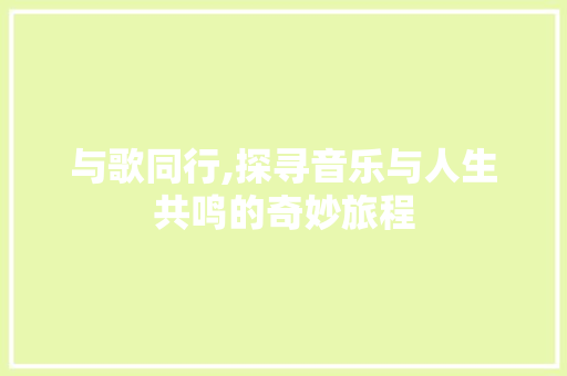 与歌同行,探寻音乐与人生共鸣的奇妙旅程
