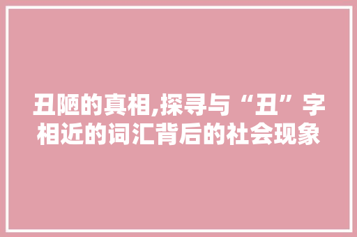 丑陋的真相,探寻与“丑”字相近的词汇背后的社会现象