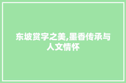 东坡赏字之美,墨香传承与人文情怀