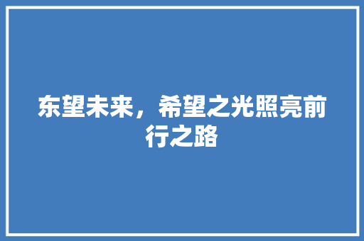 东望未来，希望之光照亮前行之路