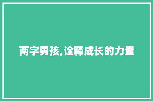 两字男孩,诠释成长的力量