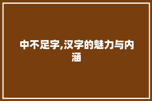 中不足字,汉字的魅力与内涵