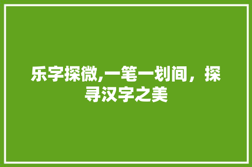 乐字探微,一笔一划间，探寻汉字之美