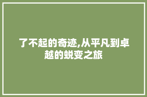 了不起的奇迹,从平凡到卓越的蜕变之旅