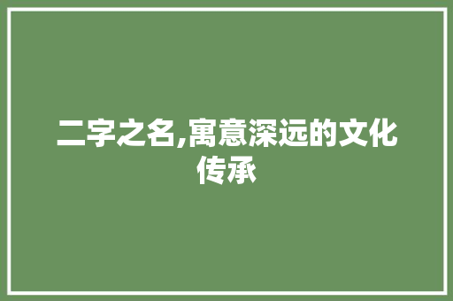二字之名,寓意深远的文化传承