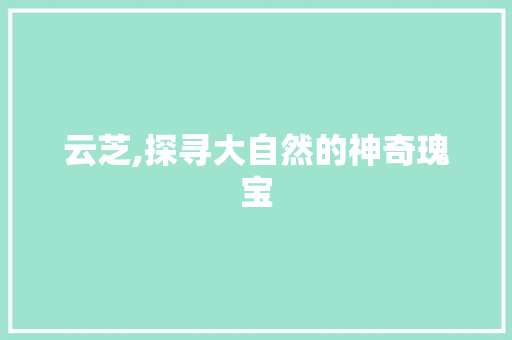 云芝,探寻大自然的神奇瑰宝