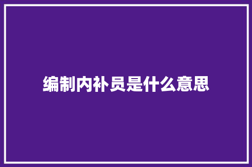 编制内补员是什么意思