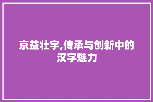 京益壮字,传承与创新中的汉字魅力