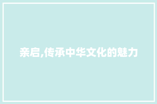 亲启,传承中华文化的魅力