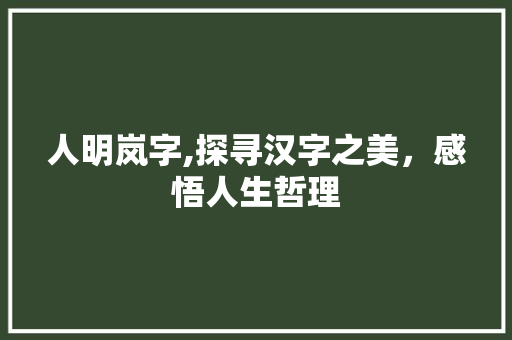 人明岚字,探寻汉字之美，感悟人生哲理