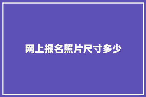 网上报名照片尺寸多少
