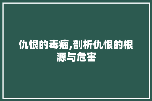 仇恨的毒瘤,剖析仇恨的根源与危害