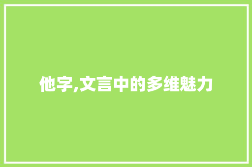 他字,文言中的多维魅力