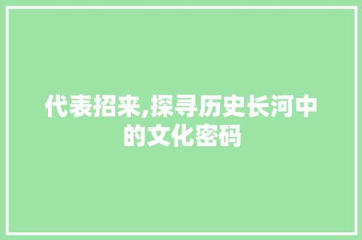 代表招来,探寻历史长河中的文化密码