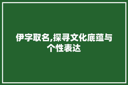 伊字取名,探寻文化底蕴与个性表达