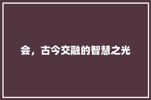 会，古今交融的智慧之光