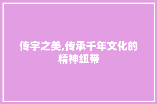 传字之美,传承千年文化的精神纽带