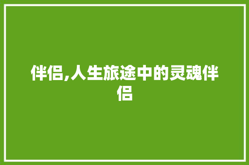 伴侣,人生旅途中的灵魂伴侣