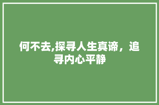 何不去,探寻人生真谛，追寻内心平静