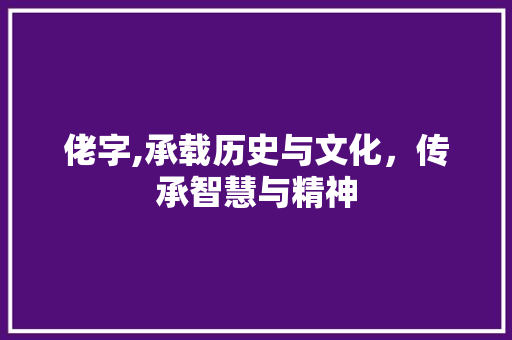 佬字,承载历史与文化，传承智慧与精神