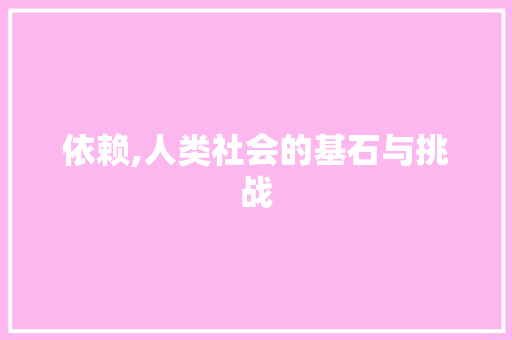 依赖,人类社会的基石与挑战